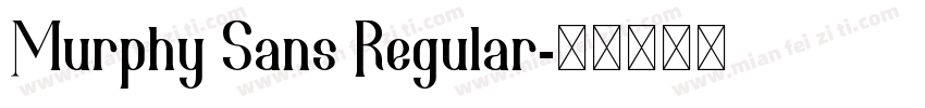 Murphy Sans Regular字体转换